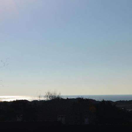 Vue Mer Berck Kültér fotó