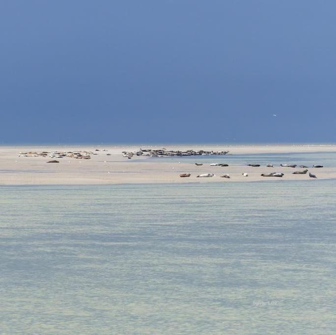 Vue Mer Berck Kültér fotó